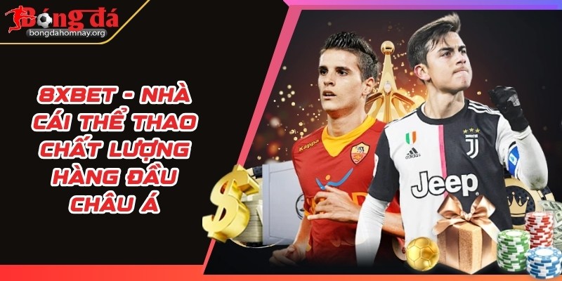 8XBet - Nhà cái thể thao chất lượng hàng đầu Châu Á 5