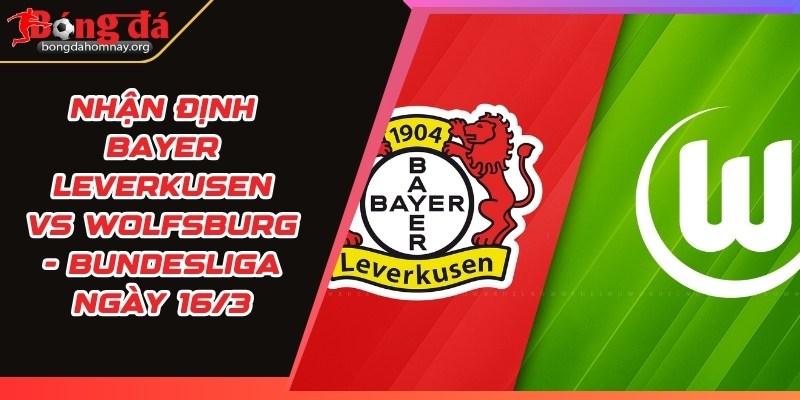 bayer leverkusen vs wolfsburg
