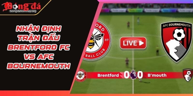 brentford fc vs afc bournemouth