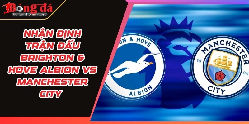 brighton hove albion vs manchester city