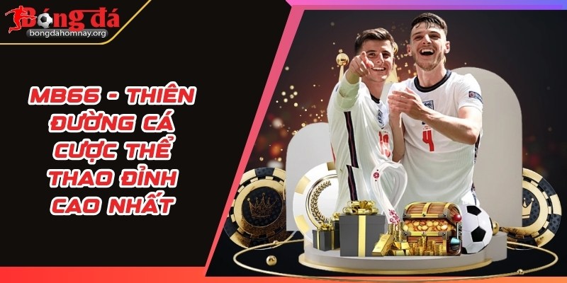 MB66 - Thiên đường cá cược thể thao đỉnh cao nhất 7 mb66