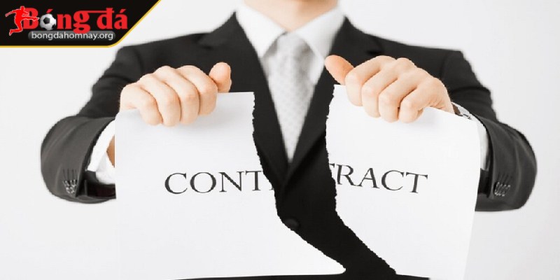 Miễn trừ trách nhiệm 3 Hệ thống lỗi đường truyền người dùng được miễn trách nhiệm