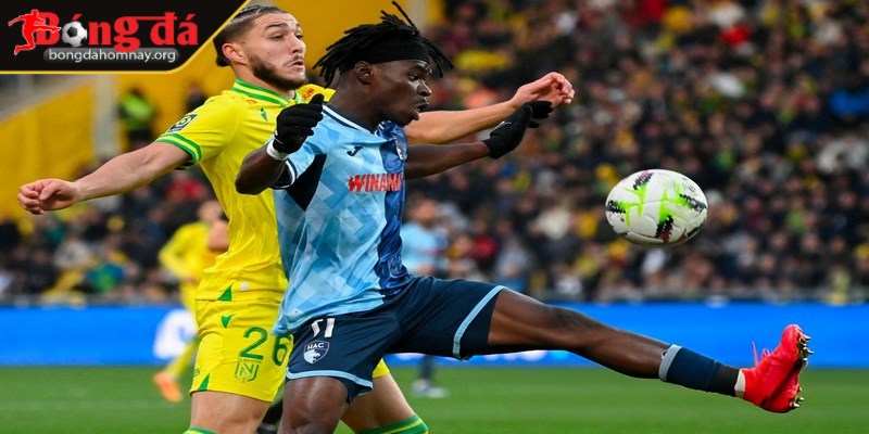 Nhận định Le Havre vs Nantes (22:15 - 30/03, Ligue 1) 2 Le Havre vs Nantes được nhận định ngang nhau về năng lực