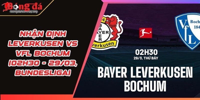 nhan dinh leverkusen vs vfl bochum