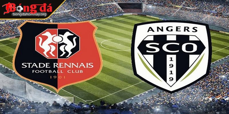 Soi kèo Angers vs Rennes (22:15 - 30/03, Ligue 1) - Angers hay Rennes sẽ đứng vững trong trận đấu quyết liệt này? 2 Angers vs Rennes đặt mục tiêu lớn trước trận đấu gặp nhau sắp tới