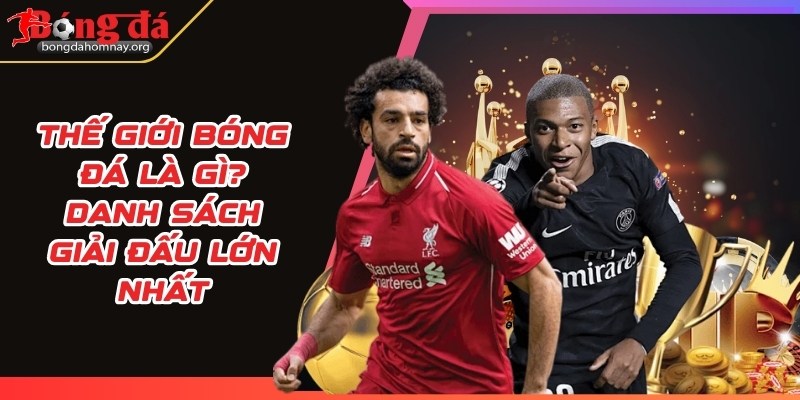 the gioi bong da