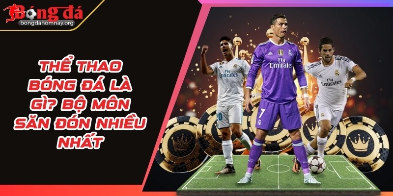 the thao bong da