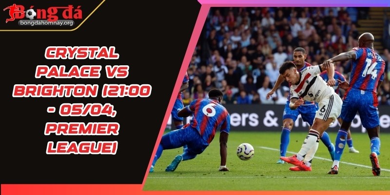 crystal palace vs brighton