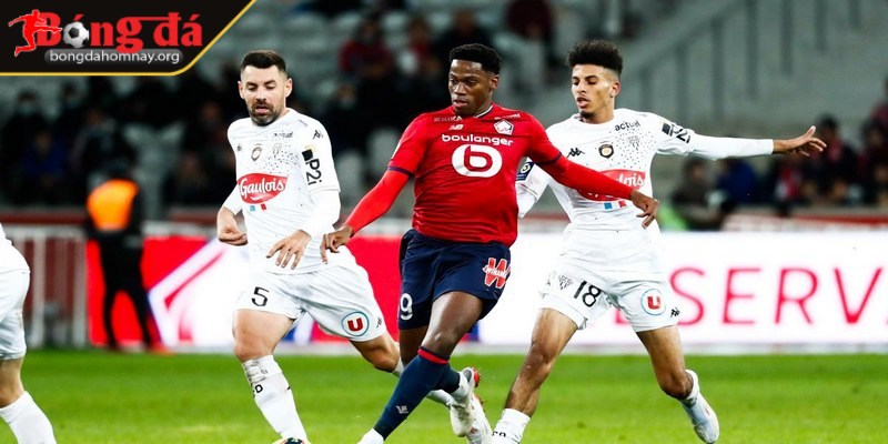 Nhận định Angers vs Lille (20:00 - 27/04, vòng 31 Ligue 1) 3 Đội hình dự kiến của Angers vs Lille