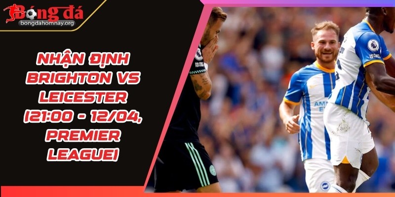 nhan dinh brighton vs leicester