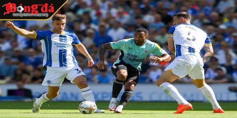 Nhận định Brighton vs Newcastle (20:00 - 04/05, Premier League) – Brighton sẽ có lợi thế khi đối đầu với Newcastle đang bị tổn thương 2 Brighton nổi bật với phong cách chơi tấn công mạnh mẽ