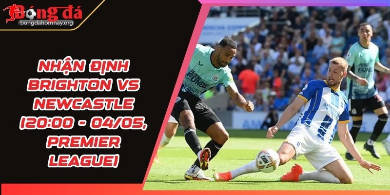 nhan dinh brighton vs newcastle