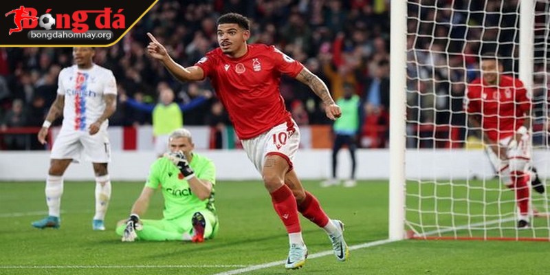 Nhận định Crystal Palace vs Nottingham Forest (02:00 - 06/05, Premier League) – Cuộc chiến sống còn trong cuộc đua trụ hạng 3 Dự đoán tỷ số giữa Crystal Palace vs Nottingham Forest