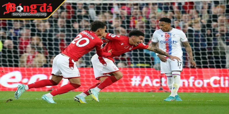 Nhận định Crystal Palace vs Nottingham Forest (02:00 - 06/05, Premier League) – Cuộc chiến sống còn trong cuộc đua trụ hạng 1 Crystal Palace – Tâm lý thoải mái, phong độ khởi sắc