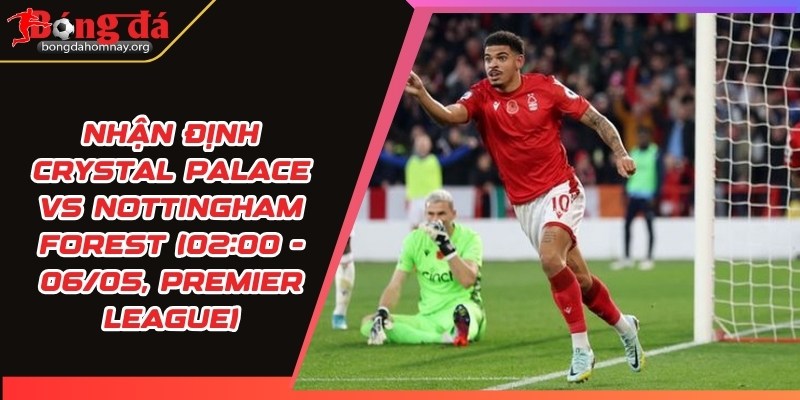 nhan dinh crystal palace vs nottingham forest