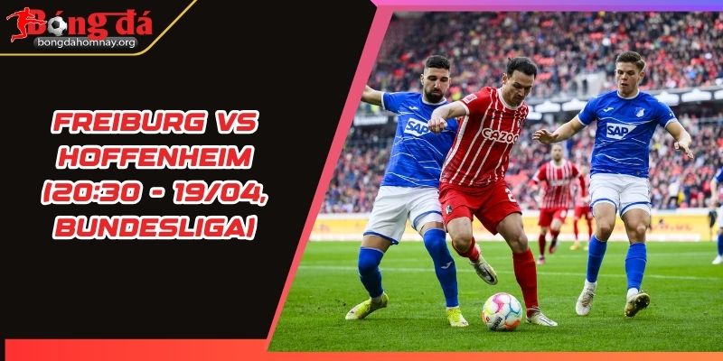 nhan dinh freiburg vs hoffenheim