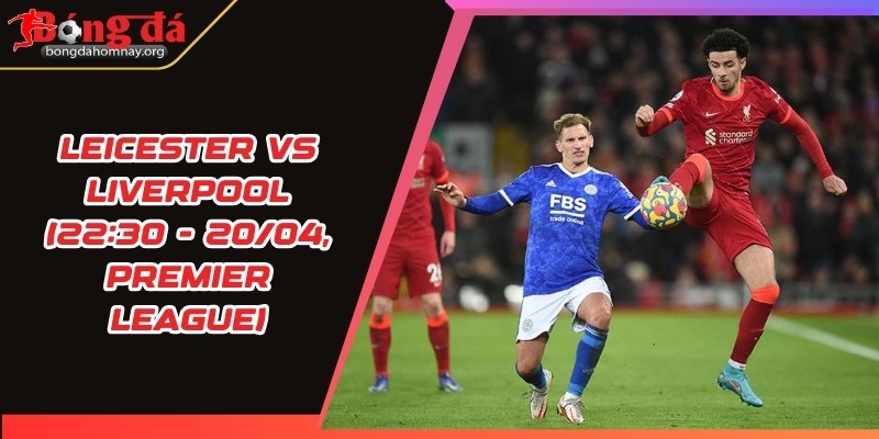 nhan dinh leicester vs liverpool