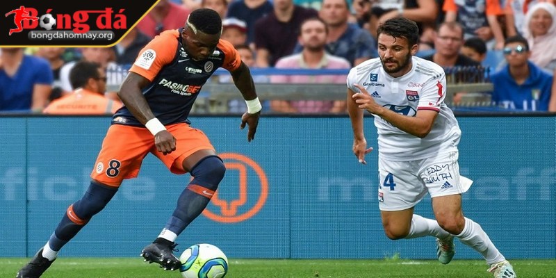 Nhận định Montpellier vs Reims (22:15 - 27/04, vòng 31 Ligue 1) 3 Đội hình dự kiến của Montpellier vs Reims