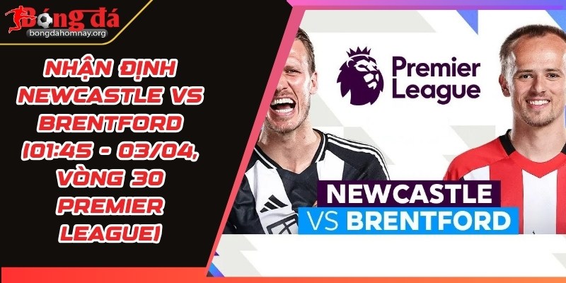 nhan dinh newcastle vs brentford