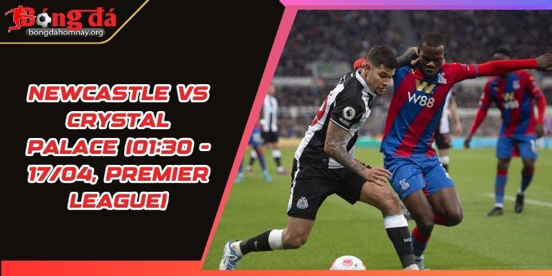 nhan dinh newcastle vs crystal palace