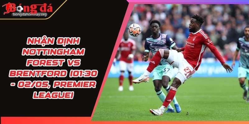 nhan dinh nottingham forest vs brentford