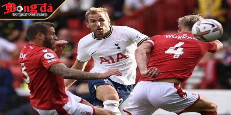 Nhận định Tottenham vs Nottingham Forest (02:00 - 22/04, vòng 33 Premier League) 3 Đội hình dự kiến của Tottenham vs Nottingham Forest