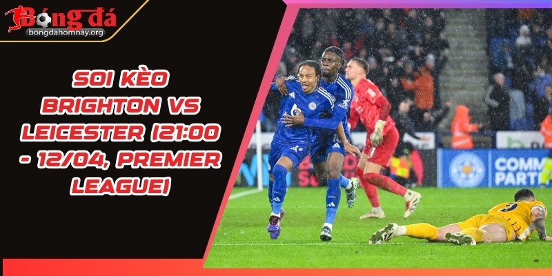 soi keo brighton vs leicester