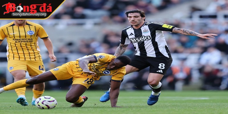 Soi kèo Brighton vs Newcastle (20:00 - 04/05, Premier League) - Trận đấu sống còn cho hy vọng top 4 3 Trận đấu giữa Brighton vs Newcastle dự đoán có nhiều bàn thắng
