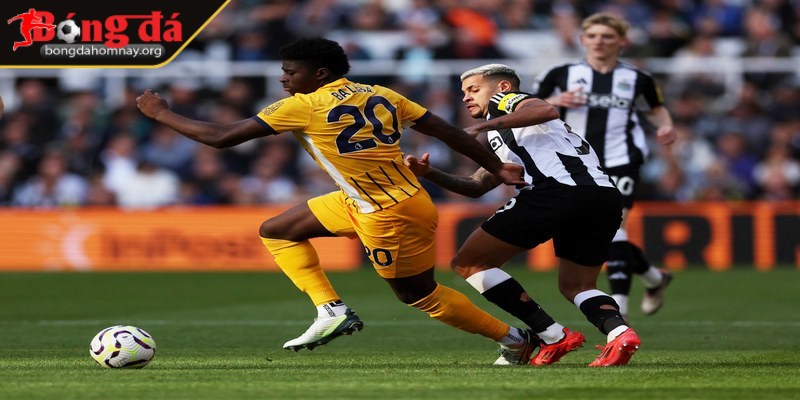 Soi kèo Brighton vs Newcastle (20:00 - 04/05, Premier League) - Trận đấu sống còn cho hy vọng top 4 1 Brighton đang có chuỗi phong độ ấn tượng khi bước vào trận đấu này