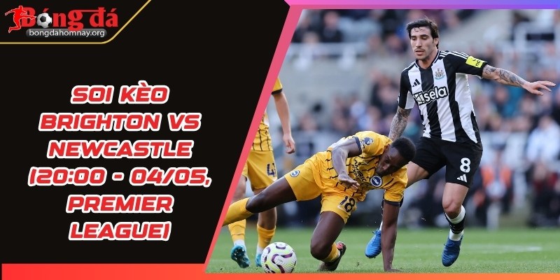 soi keo brighton vs newcastle