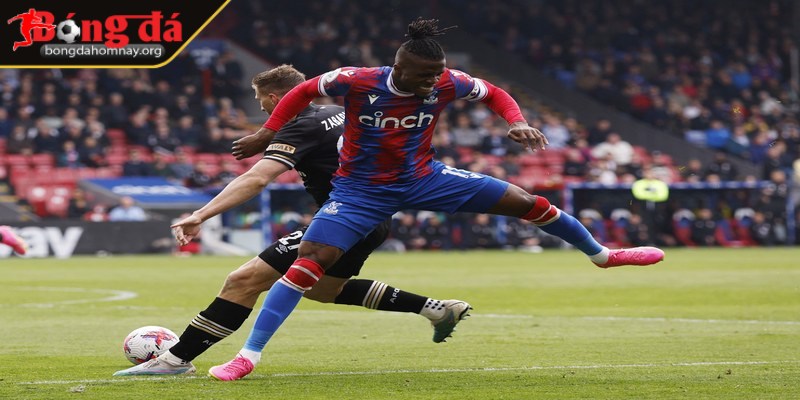 Crystal Palace vs Bournemouth (21:00 - 19/04, Premier League) – Dự đoán tỷ số: Crystal Palace thắng 2-0, kèo chấp 1 1 Crystal Palace có phong độ cực ổn định