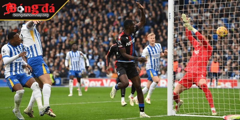 Soi kèo Crystal Palace vs Brighton (21:00 - 05/04, Premier League) - Cuộc đấu giữa hai đội bóng khó đoán 1 Crystal Palace không giành được chiến thắng trong các trận đấu gần đây