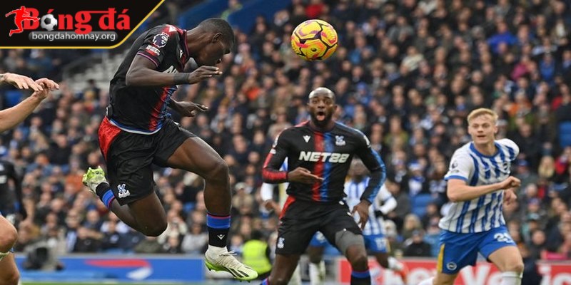 Soi kèo Crystal Palace vs Brighton (21:00 - 05/04, Premier League) - Cuộc đấu giữa hai đội bóng khó đoán 2 Đội chủ nhà có đầy đủ các cầu thủ khi thi đấu với CLB Brighton