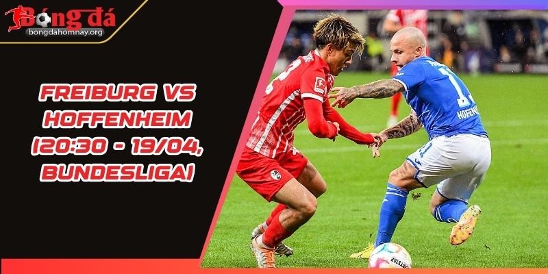 soi keo freiburg vs hoffenheim