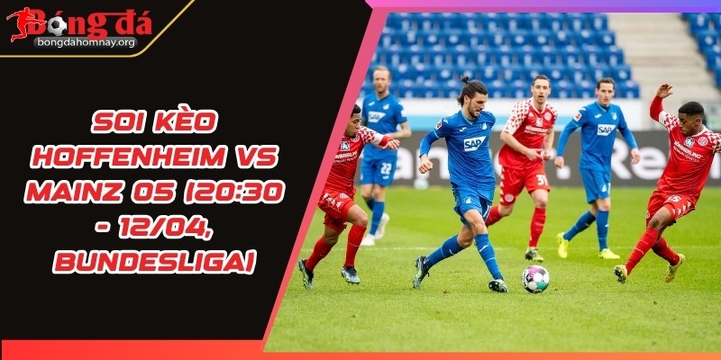 soi keo hoffenheim vs mainz