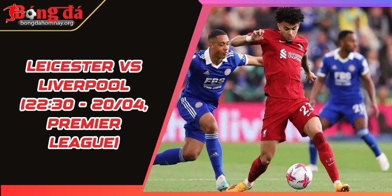 soi keo leicester vs liverpool