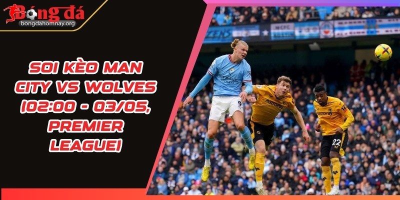soi keo man city vs wolves