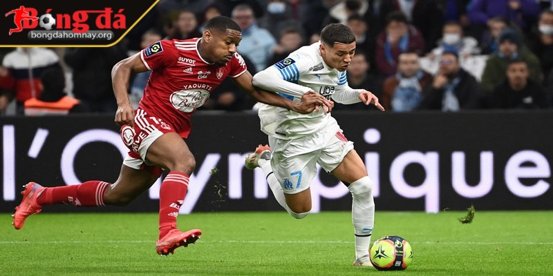 Soi kèo Marseille vs Brest (01:45 - 28/04, Ligue 1) – Marseille cần 3 điểm để đua top 3 2 Marseille đang có thành tích sân nhà rất ấn tượng