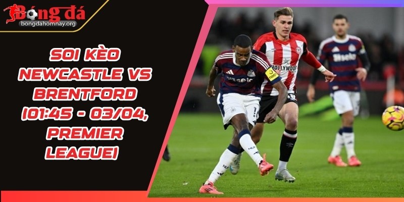 soi keo newcastle vs brentford