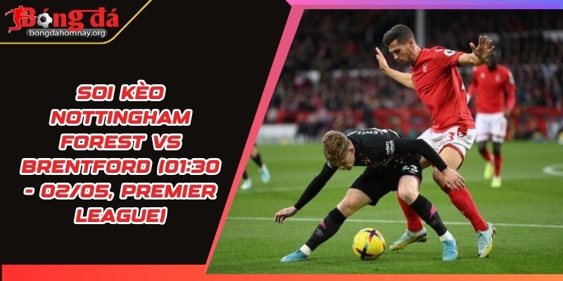 Soi kèo Nottingham Forest vs Brentford (01:30 - 02/05, Premier League) - Nottingham Forest tiếp đón Brentford, liệu lợi thế sân nhà có giúp họ chiến thắng? 1 soi keo nottingham forest vs brentford