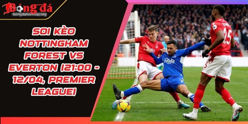 soi keo nottingham forest vs everton