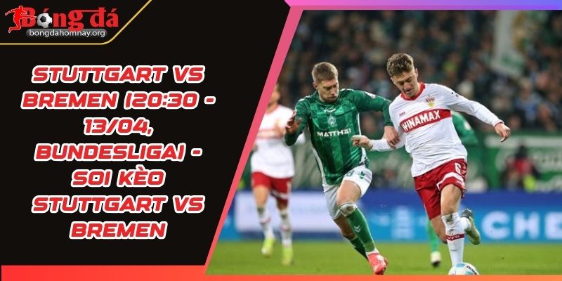 soi keo stuttgart vs bremen