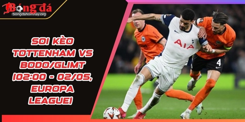 soi keo tottenham vs bodo glimt