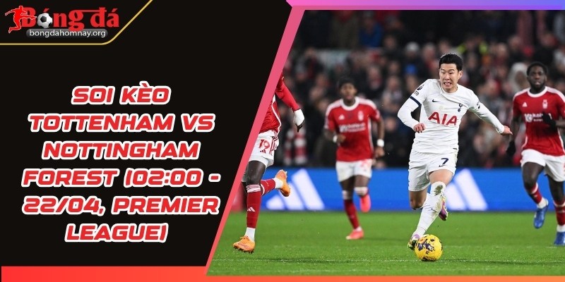 soi keo tottenham vs nottingham forest