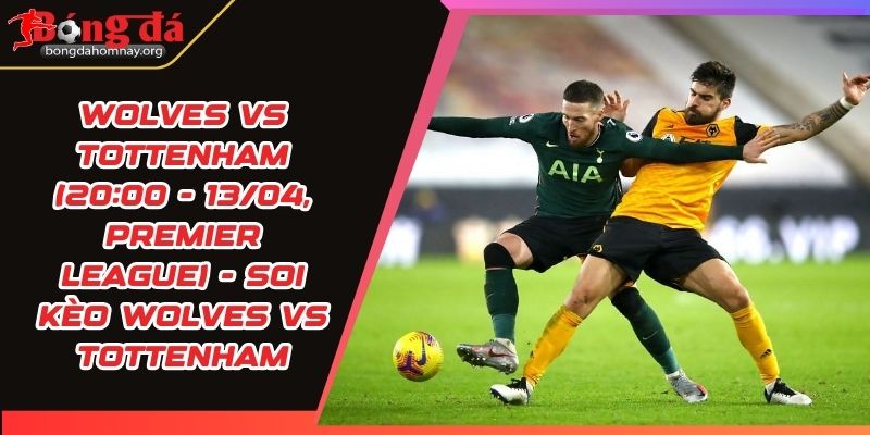 soi keo wolves vs tottenham
