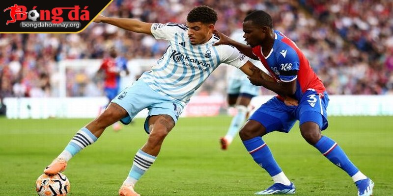 Soi kèo Crystal Palace vs Nottingham Forest (02:00 - 06/05, Premier League) – Crystal Palace sẽ đánh bại Forest để tiếp tục hành trình trụ hạng 2 Nottingham Forest có tỷ lệ cược từ 3.10 đến 3.18