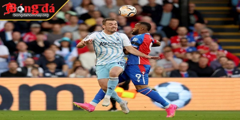 Soi kèo Crystal Palace vs Nottingham Forest (02:00 - 06/05, Premier League) – Crystal Palace sẽ đánh bại Forest để tiếp tục hành trình trụ hạng 1 Crystal Palace đội bóng có lối chơi khá chắc chắn